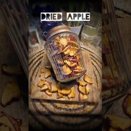 Homemade Dried Apple Slices – Healthy Snack