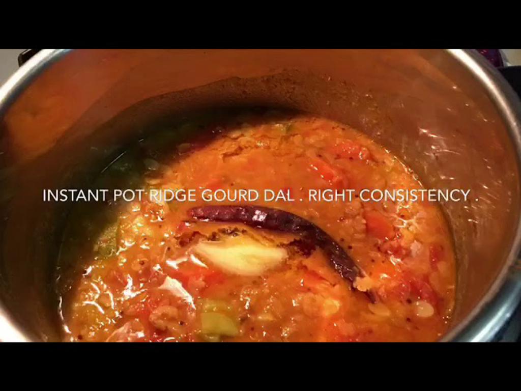 Instant Pot Ridge Gourd Dal