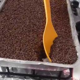 Easy Chocolate Cake with Brigadeiro Topping
