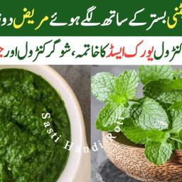 Healthy Mint Chutney for Digestion and Pain Relief