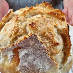 Easy No-Knead Bread – Fluffy & Crusty